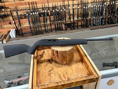 Ruger 10/22 Rifle - 22 LR - 10+1 - 18.50
