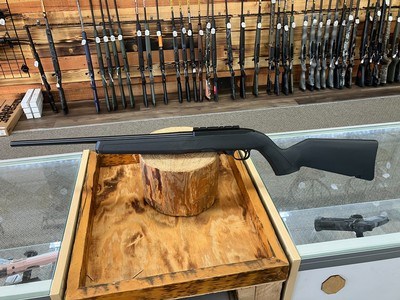 Ruger 10/22 Rifle - 22 LR - 10+1 - 18.50