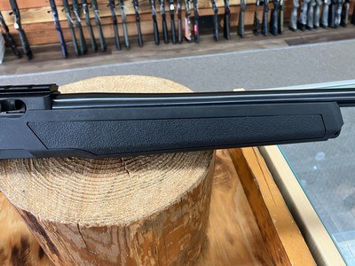 Ruger 10/22 Rifle - 22 LR - 10+1 - 18.50