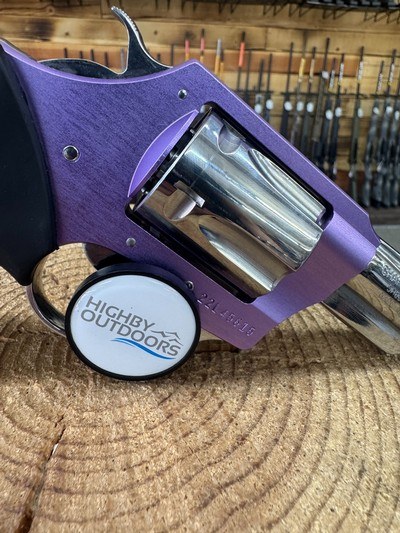 Charter Arms Chic Lady 38 SPL 5rd Shot 2