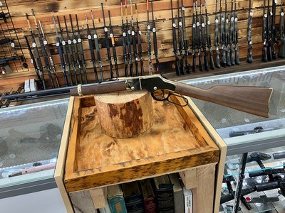 Henry Golden Boy Rifle - 22 LR - 20