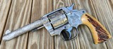 Absolutely Stunning Colt New Service 45 Colt Carl Bleile Engraved 1914 Production - 2 of 20