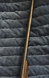 Armas Garbi