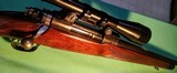 Winchester Model 70 .243 Winchester - 8 of 12