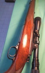 Winchester Model 70 .243 Winchester - 10 of 12