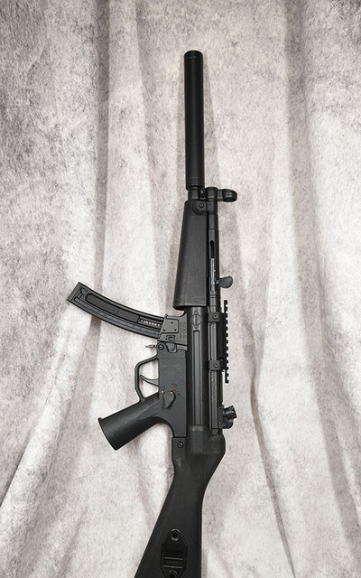 GSG GSG 5 Rifle Semi Auto .22LR 16.5