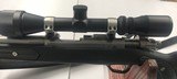 Ruger Model 77/22 .22 Magnum - 13 of 13