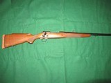 WINCHESTER M70 SUPER EXPRESS. .458 WIN MAG. CONTROLLED FEED - 9 of 11