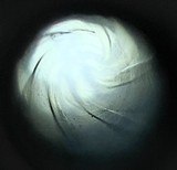 WEATHERBY MARK XXII SEMI AUTO 24" BBL TUBE FEED .22 LR JAPAN MADE EBONY STOCK TIP - 20 of 20