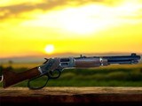 Henry Big Boy Mares Leg Side Gate .45LC Pistol - 4 of 12