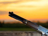 Henry Big Boy Mares Leg Side Gate .45LC Pistol - 3 of 12