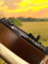 Henry Big Boy Mares Leg Side Gate .45LC Pistol - 10 of 12
