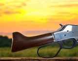 Henry Big Boy Mares Leg Side Gate .45LC Pistol - 6 of 12