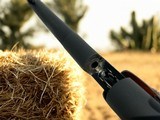 1939 Colt Woodsman Bullseye Match Target 22 LR Pistol High Grade - 14 of 15