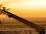 1891 Mauser Military Rifle Argentino - 13 of 15