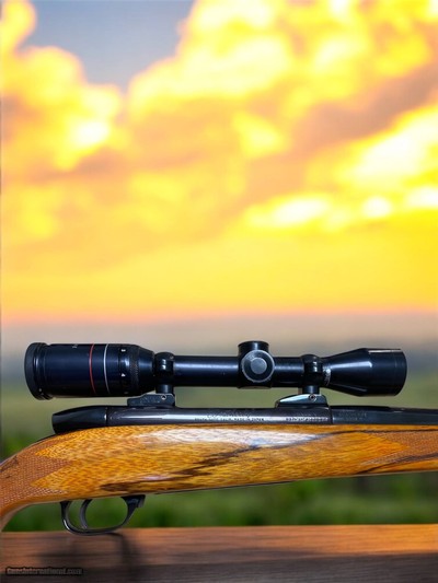 ESTATE COLLECTOR'S RIFLE****1974 Weatherby .300 WBY MAG DELUXE Howa/Japanese made Rifle w/Weatherby Supreme Scope*** LH ***High Grade 90%*** - Image 12 of 14