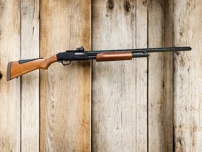 Mossberg 500 20Ga w/Red Dot Sight now for sale!