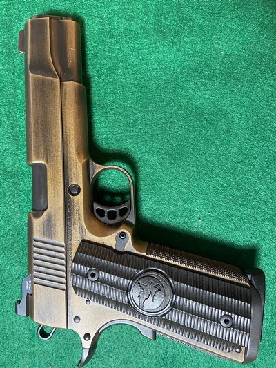 Nighthawk Falcon Custom 