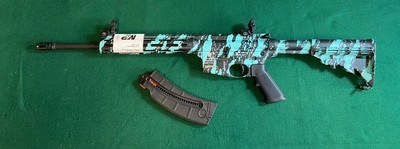 S&W M&P Model 15-22.22Cal LR in Robins Egg Blue Camo Platinum Finish - Image 9 of 13