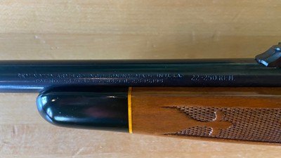 Remington 700 Bolt Action Rifle Chambered in 22-250 Remington - Image 11 of 12