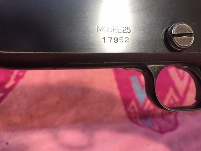 Remington Model 25, Slide Action Rifle - Image 12 of 15