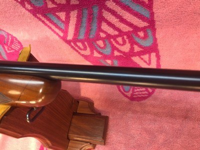 Winchester Model 75 Sporter Rifle - Image 6 of 15