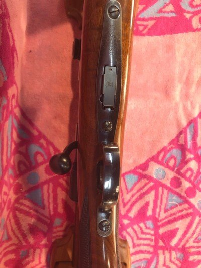 Winchester Model 75 Sporter Rifle - Image 7 of 15