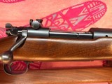 Winchester Model 70 standard grade pre-war - 13 of 15