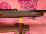 Winchester Model 70 standard grade pre-war - 14 of 15