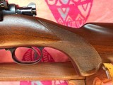 Winchester Model 70 standard grade pre-war - 3 of 15