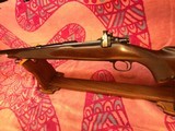 Winchester Model 70 standard grade pre-war - 1 of 15
