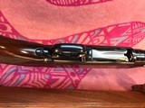 Winchester Model 12 Skeet Gun Pre-War - 7 of 15