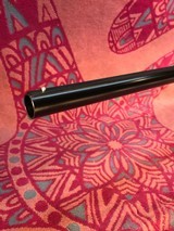 Winchester Model 12 Pigeon Grade - 15 of 15