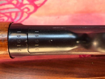 Winchester Model 1903 - Image 8 of 14
