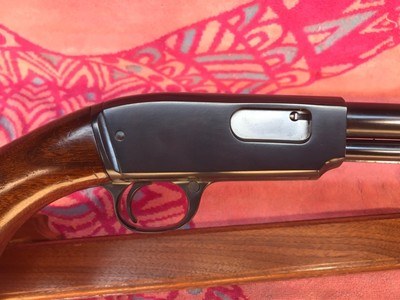 Winchester model 61 with Routledge shot barrel - Image 4 of 15