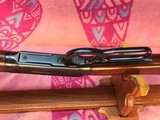 Winchester Model 94 Extended Forearm carbine in 25-35 Caliber AS NEW - Image 8 of 15