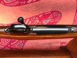 Winchester Model 70 Standard Grade - Image 10 of 15
