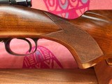 Winchester Model 70 Standard Grade - Image 14 of 15