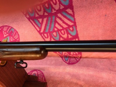 Winchester Model 70 Standard Grade - Image 7 of 15