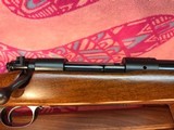 Winchester model 70 Alaskan standard grade pre 64 300 Winchester magnum AS NEW sightless special order gun - Image 4 of 14