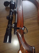 Dickson-Howa Golden Bear