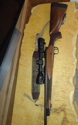 Remington 700 CDL - 12 of 14