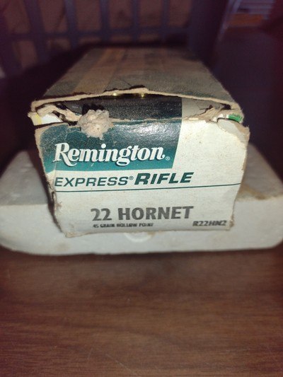 .22 Hornet brass - Image 1 of 6