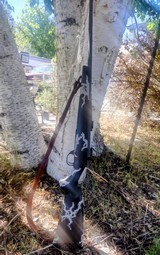 As new Weatherby Vanguard Talon - Image 4 of 15