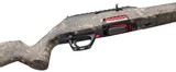 Winchester Wildcat SR .22 LR (Strata), 18