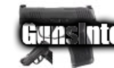 Sig P365 9mm Nitron, 3.1