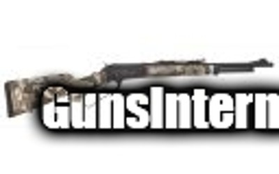 Chiappa 1886 Journey .45-70, 19