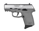 SCCY CPX-2 Gen3 9mm, SS/Gray, 10+1 - 1 of 2