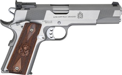 Springfield Loaded Target 9mm SA 5