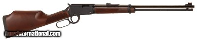 Henry Varmint Express .17 HMR, 20
